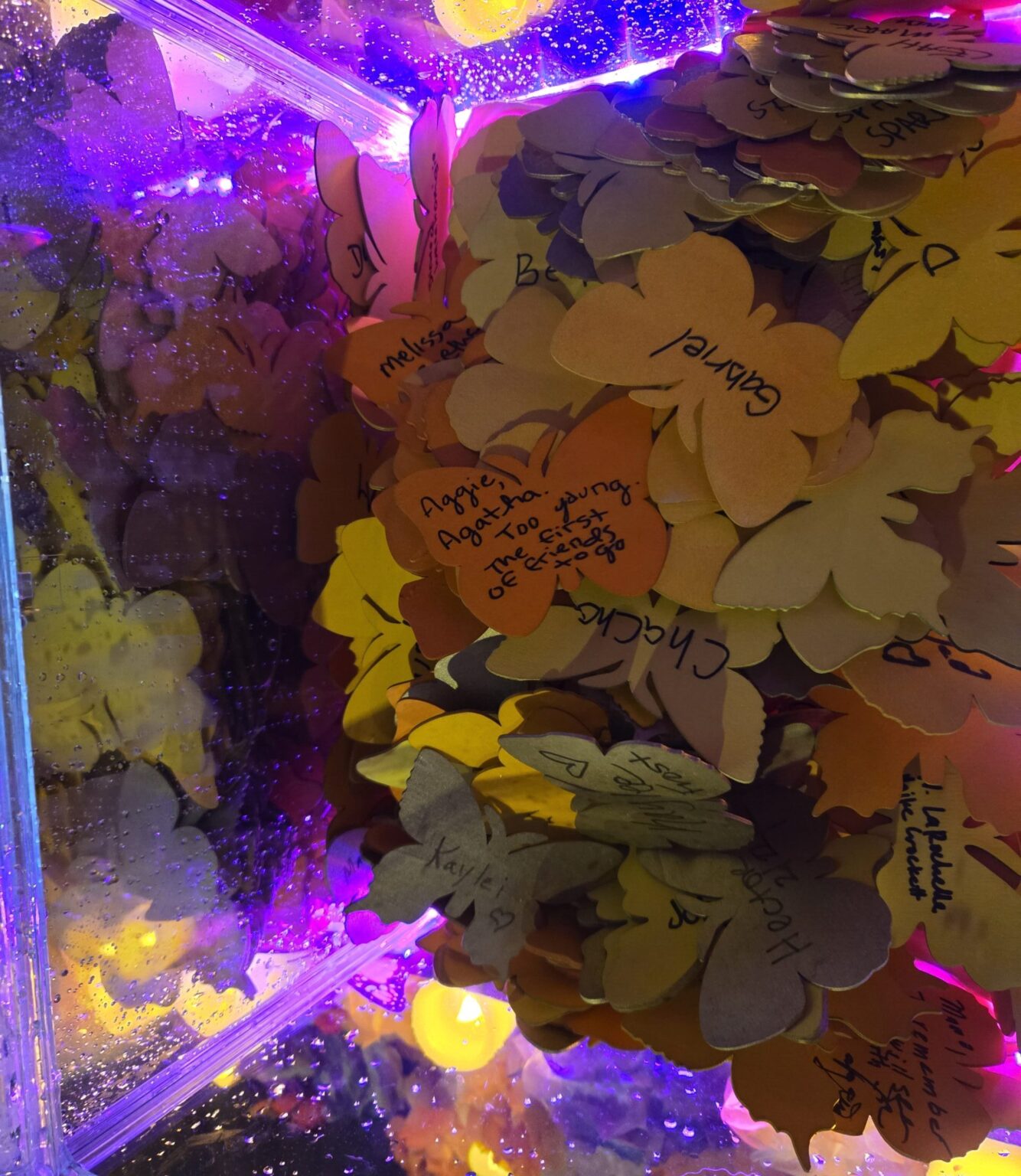 Wooden butterflies with names and messages written on them in honor of loved ones who died by overdose.